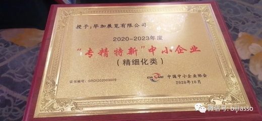 畢加帶你細看2020中國中小企業發展大會 展覽展示